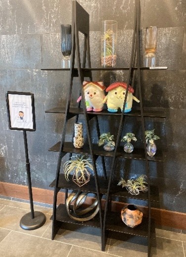 スライダー画像